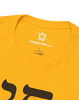 Chai Maintenance T-Shirt - Shop Israel