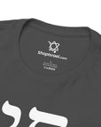 Chai Maintenance T-Shirt - Shop Israel