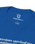 My Jewish Identity T-Shirt - Shop Israel