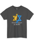 Never Again Star T-Shirt - Shop Israel