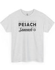 Pesach Sameach T-Shirt - Shop Israel