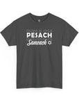 Pesach Sameach T-Shirt - Shop Israel