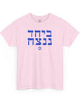 Together We Will Win T-Shirt - Shop Israel