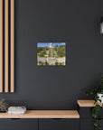 Israel Bahai Gardens premium canvas print, available for worldwide shipping - Shop Israel