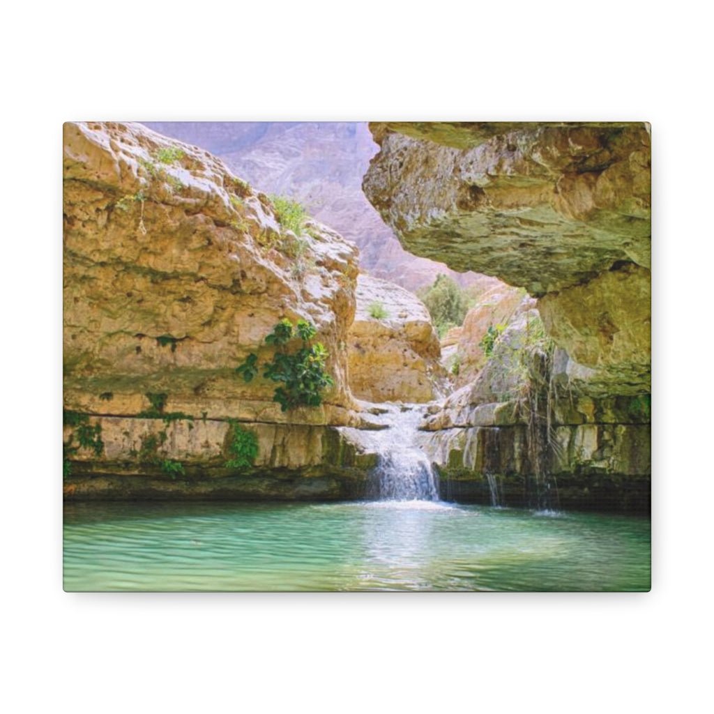 High-quality Ein Gedi wall art, a must-have for Israel merchandise collectors - Shop Israel