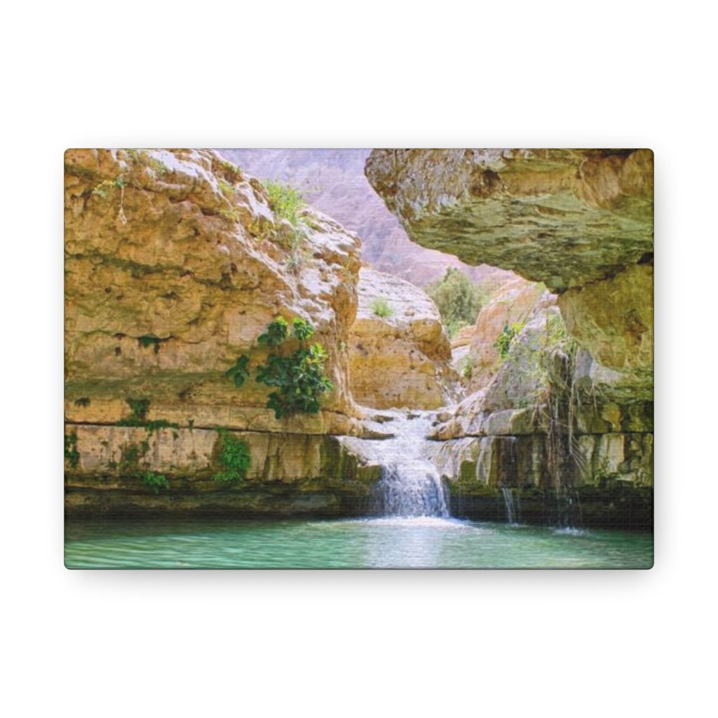 Shop Ein Gedi premium canvas online, featuring stunning desert waterfalls and wildlife - Shop Israel