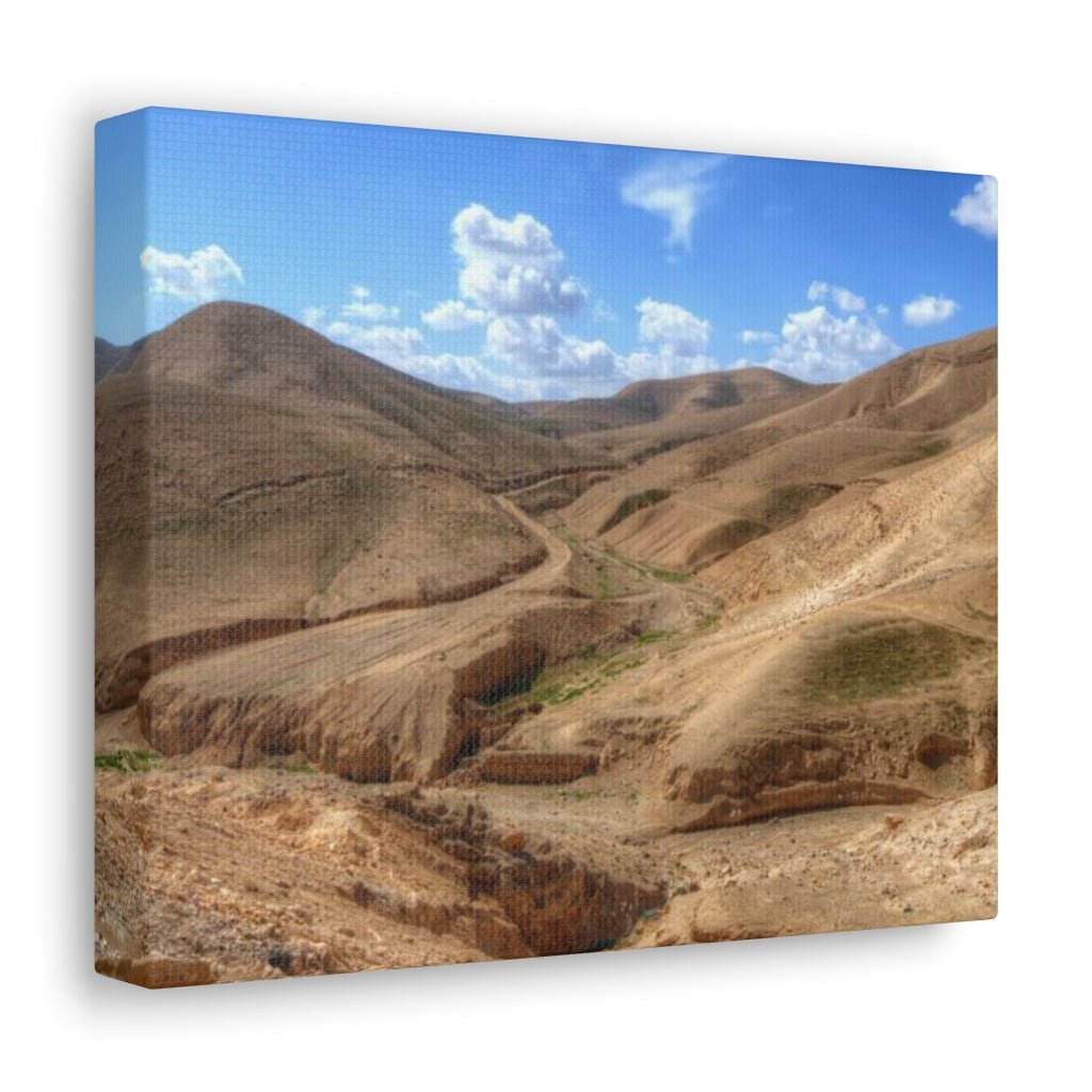 Support Israeli artists with this unique Judaean Desert canvas print - Shop Israel.