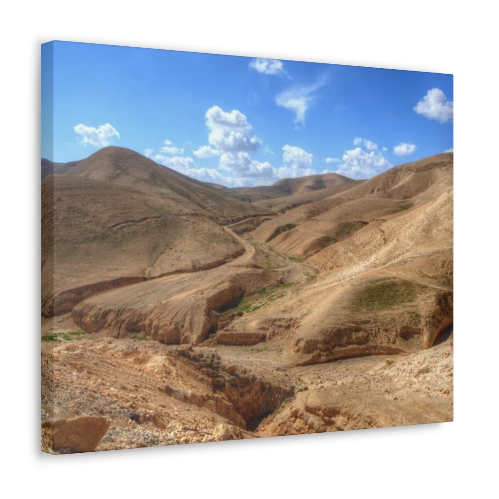 Stunning Judaean Desert landscape canvas, available for Israel online shopping lovers - Shop Israel.