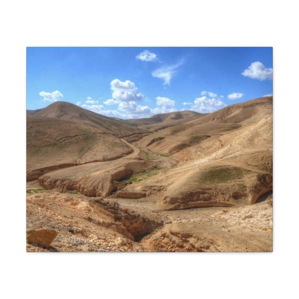 Judaean Desert premium canvas, a must-have for Israel shop and travel lovers - Shop Israel.