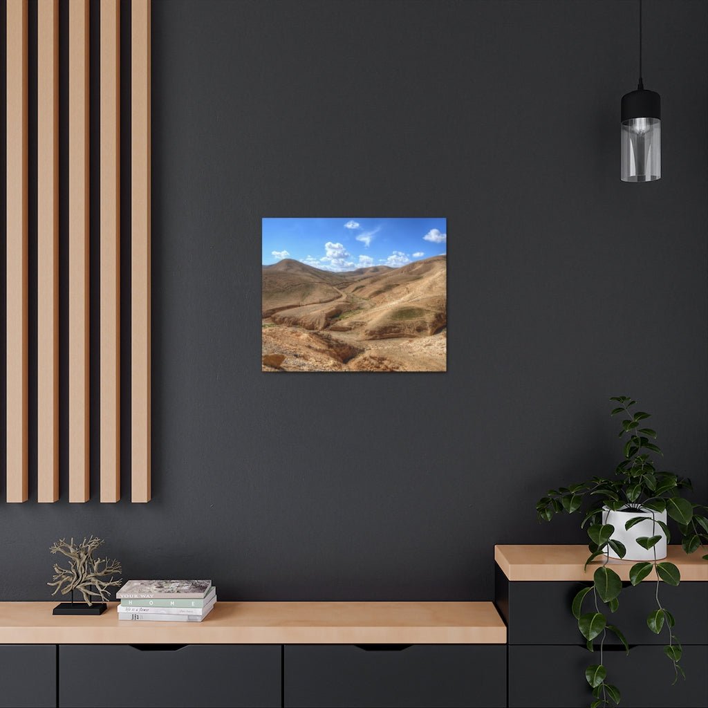 Support Israeli artists with this unique Judaean Desert canvas print - Shop Israel.