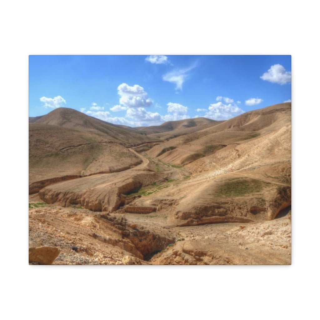 Stunning Judaean Desert landscape canvas, available for Israel online shopping lovers - Shop Israel.