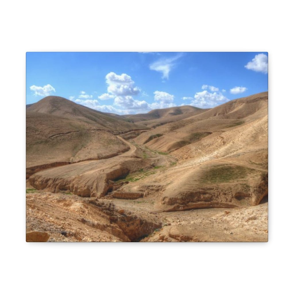 Online shopping in Israel for Judaean Desert premium canvas wall decor - Shop Israel.