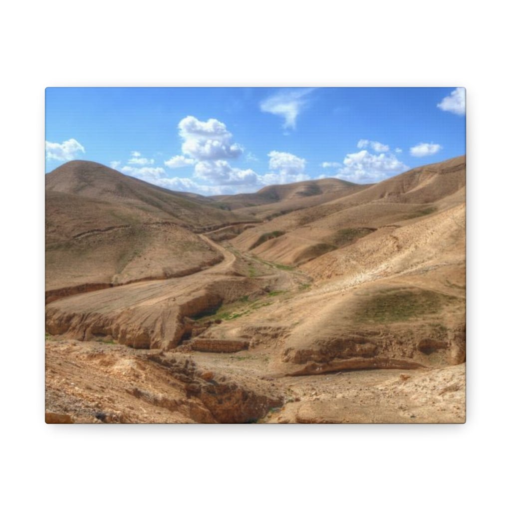 Beautiful Judaean Desert artwork, perfect for home decor and Israel enthusiasts - Shop Israel.