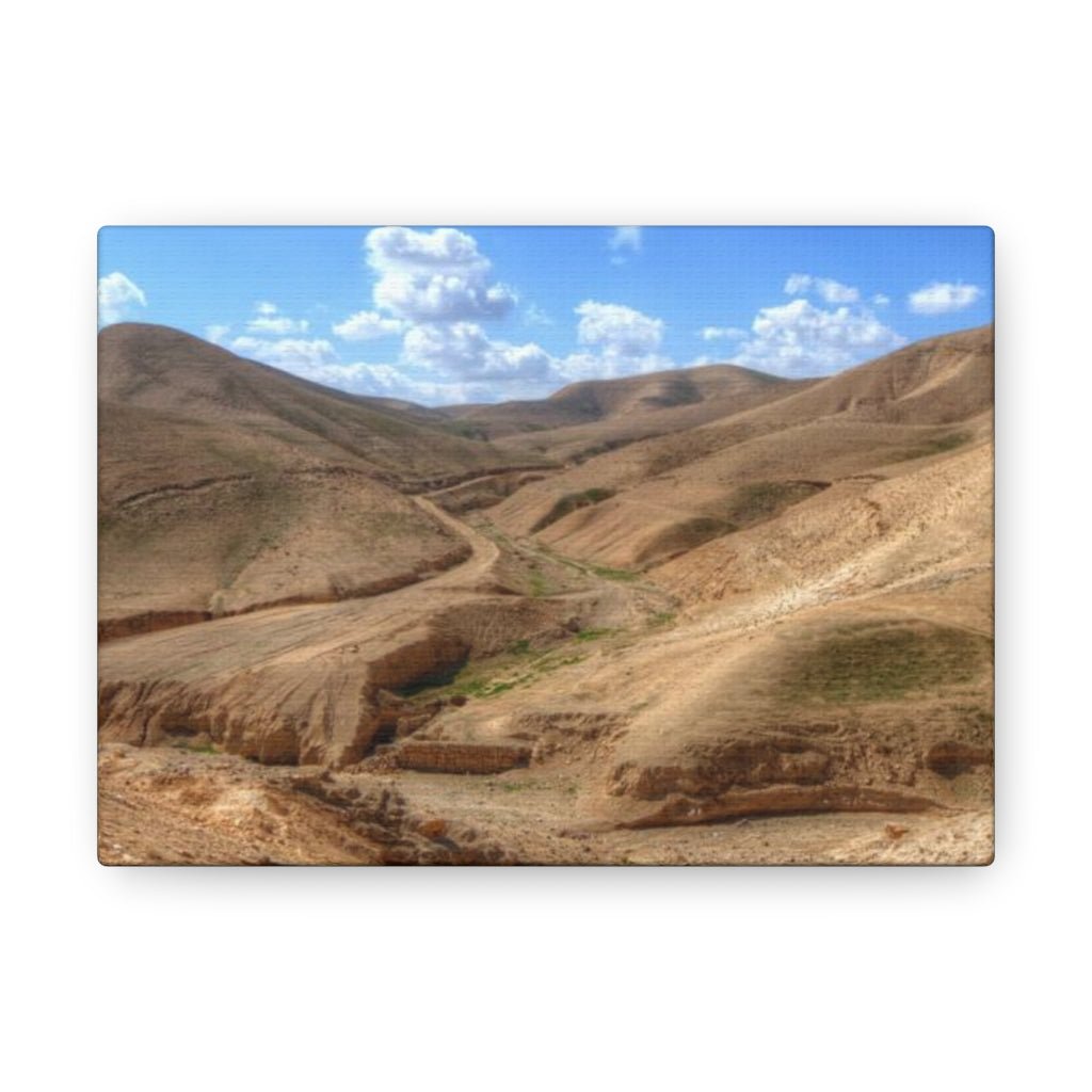 High-quality Judaean Desert print, a must-have for Israel merchandise collectors - Shop Israel.