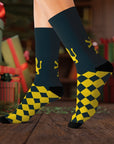 Lion of Jerusalem Socks - Shop Israel