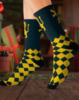 Lion of Jerusalem Socks - Shop Israel