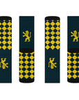 Lion of Jerusalem Socks - Shop Israel