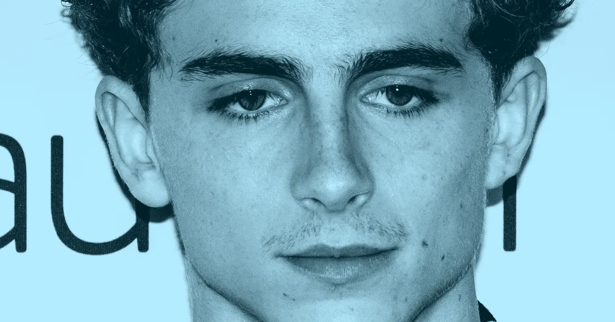 Does Timothée Chalamet Support Israel?