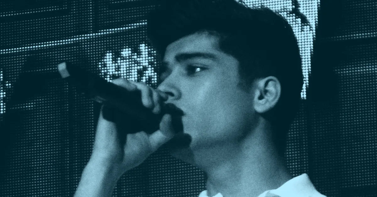 Does Zayn Malik Support Israel?