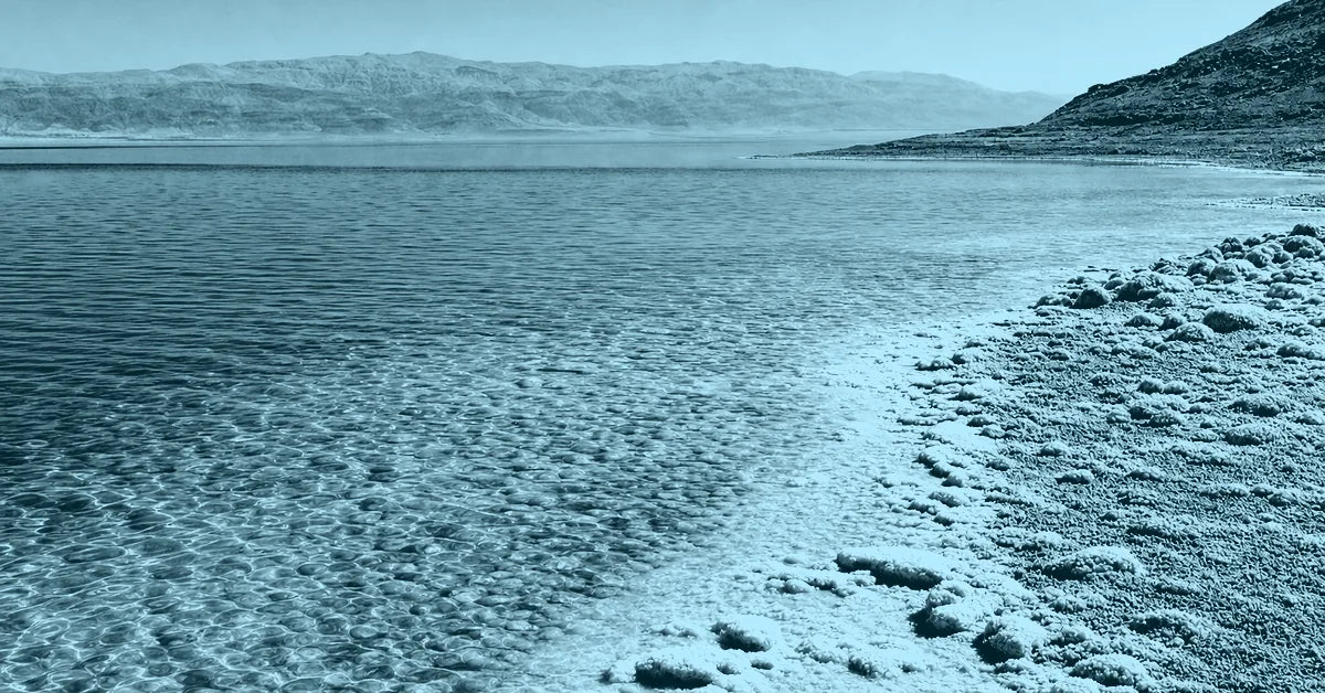 Can you Swim in the Dead Sea?