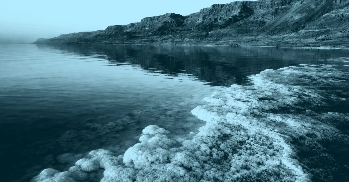 Why Is the Dead Sea Called the Dead Sea?