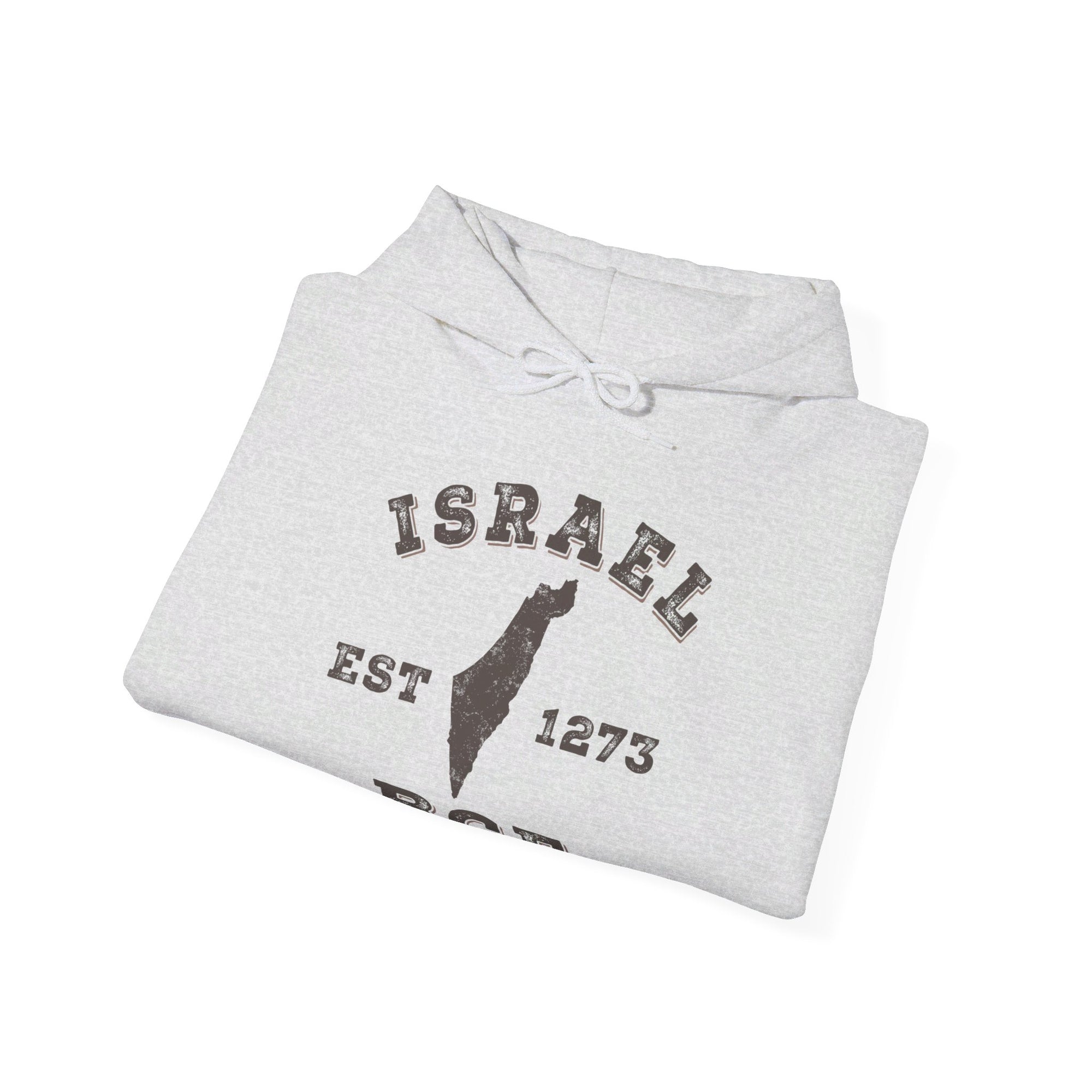 Israel 1273 BCE Hoodie