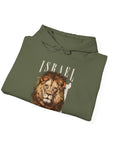 Israel I Stand With You Lion Hoodie