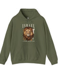 Israel I Stand With You Lion Hoodie