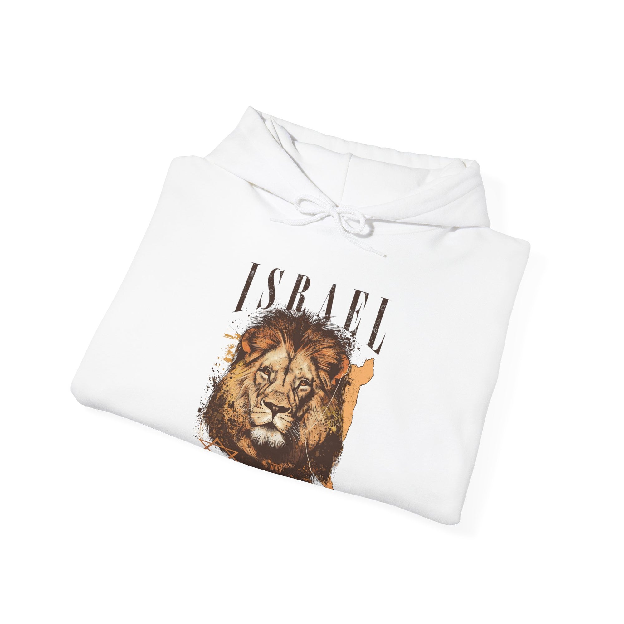 Israel I Stand With You Lion Hoodie