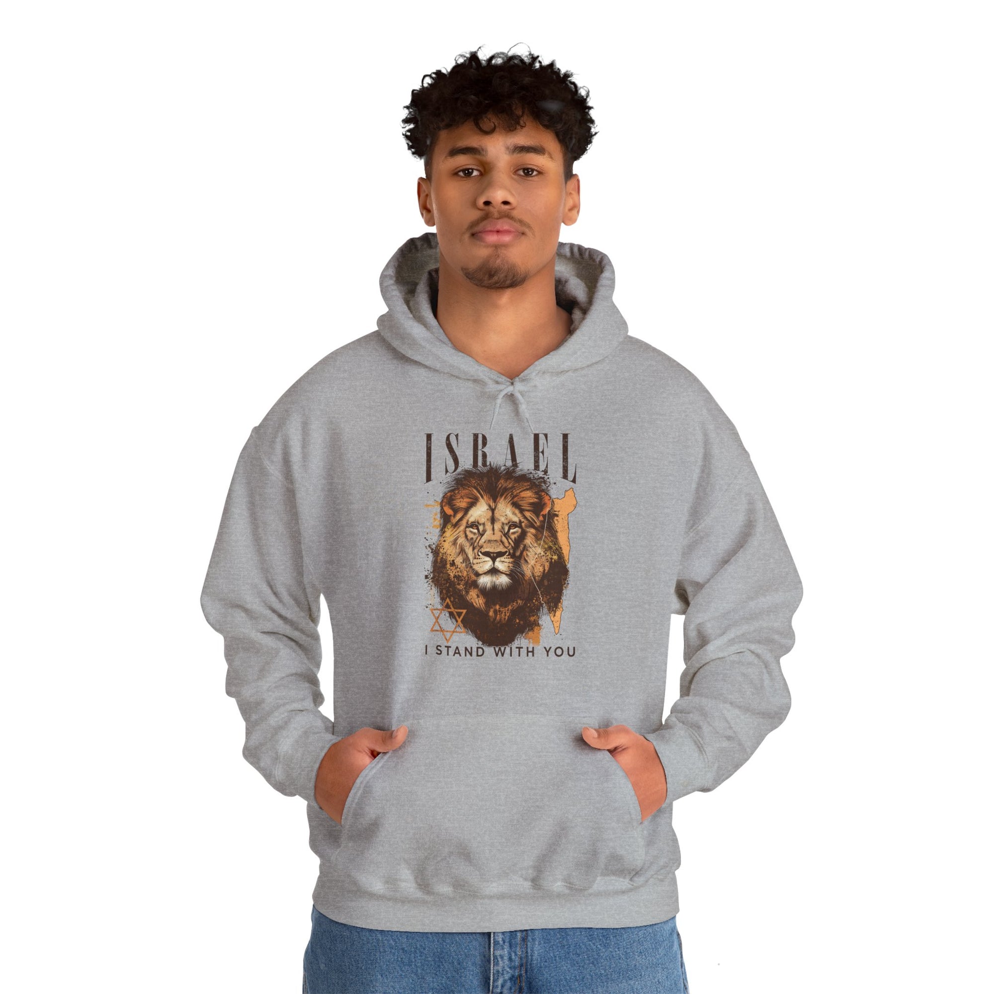 Israel I Stand With You Lion Hoodie