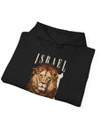 Israel I Stand With You Lion Hoodie