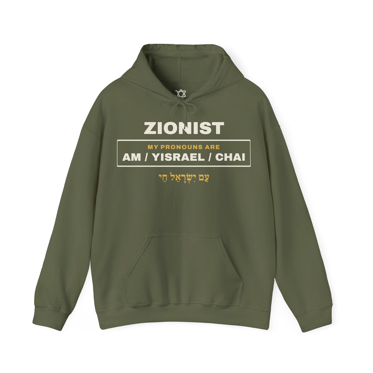 Pronouns Am Yisrael Chai Hoodie - Shop Israel