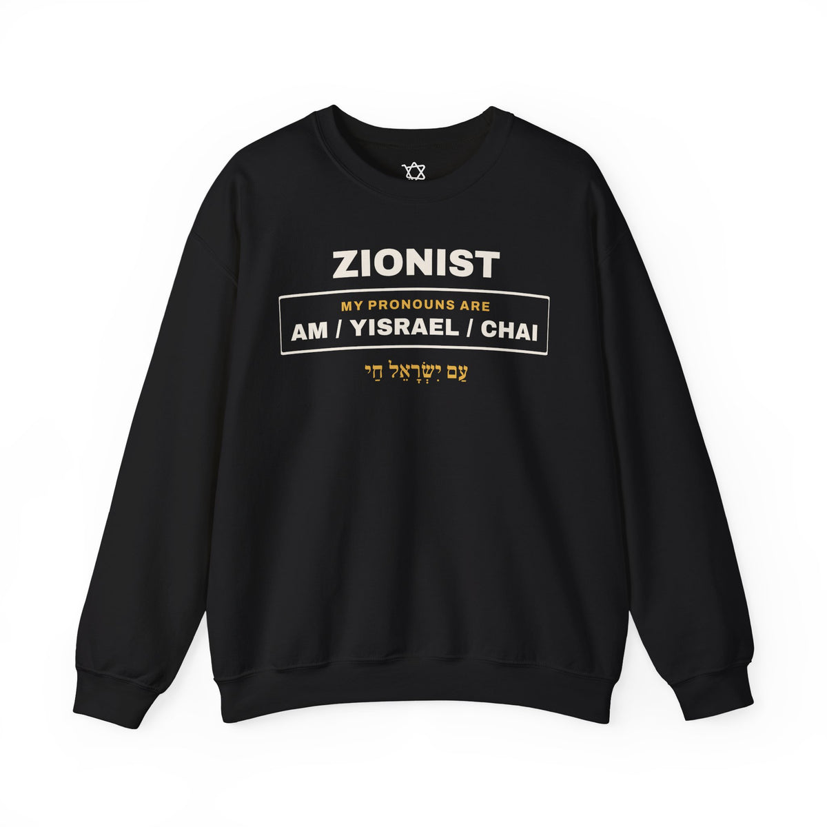 Pronouns Am Yisrael Chai Sweatshirt - Shop Israel