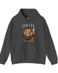 Israel I Stand With You Lion Hoodie