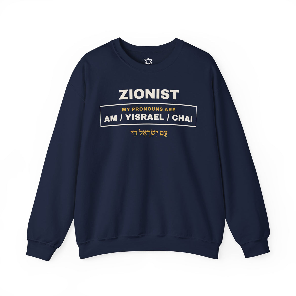 Pronouns Am Yisrael Chai Sweatshirt - Shop Israel
