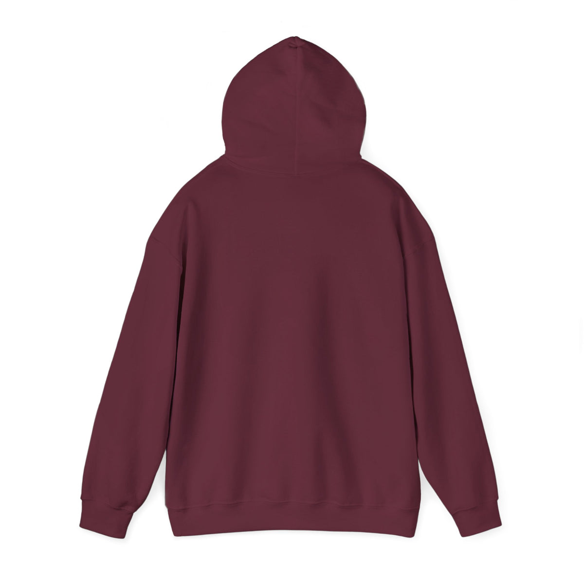 Ask the Romans Hoodie - Shop Israel