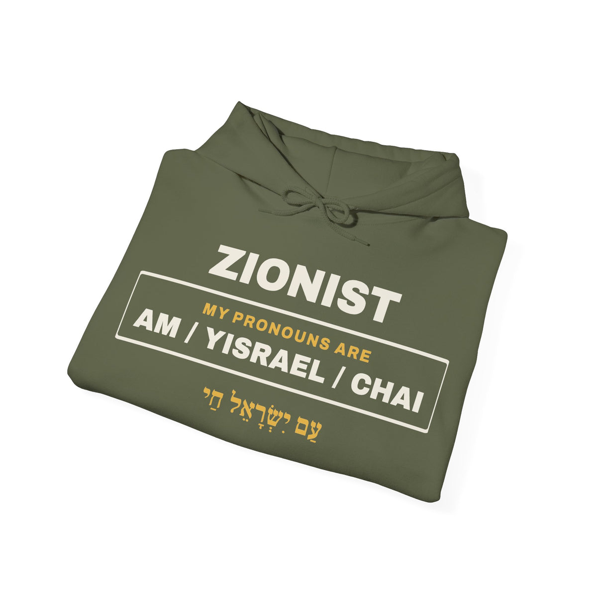 Pronouns Am Yisrael Chai Hoodie - Shop Israel