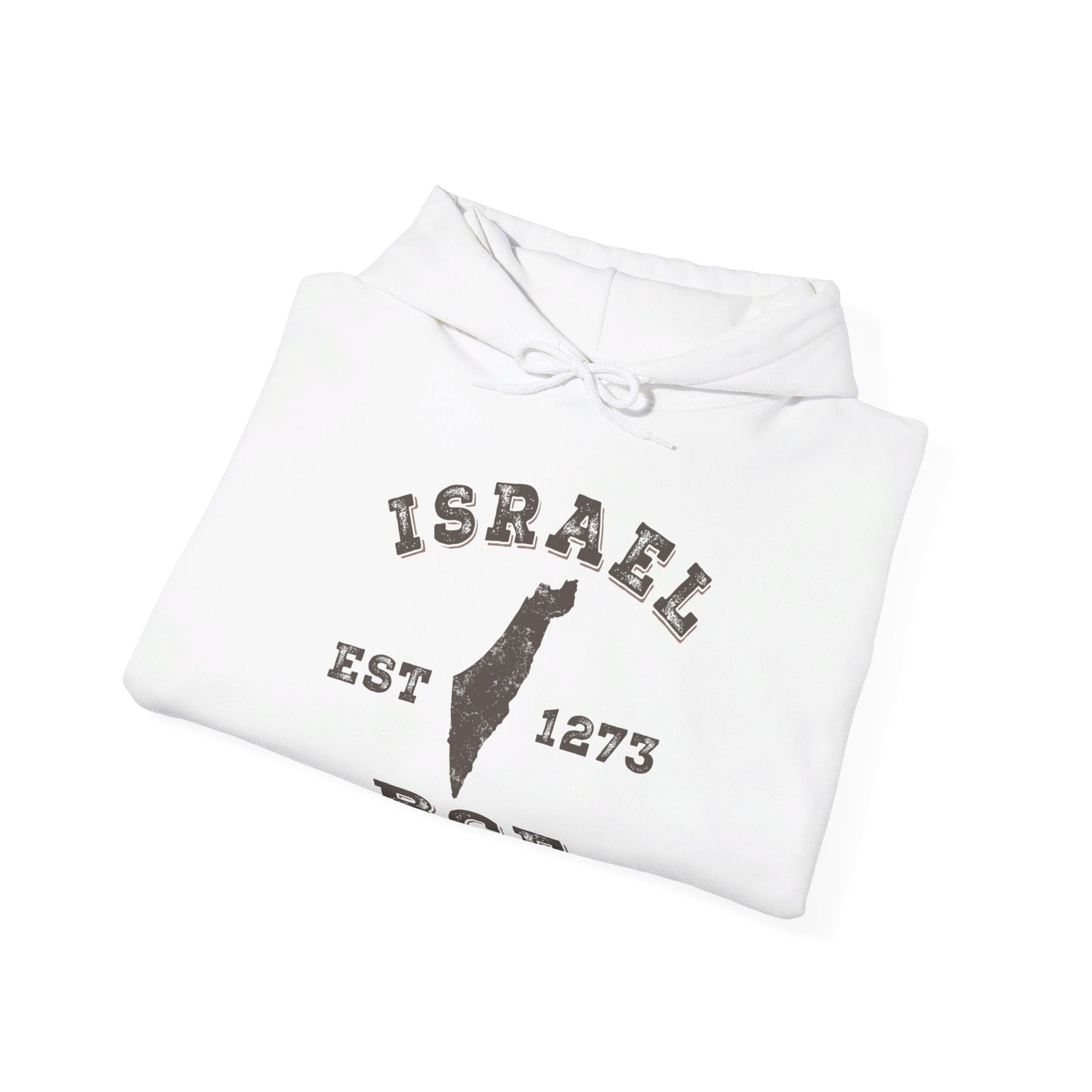 Israel 1273 BCE Hoodie