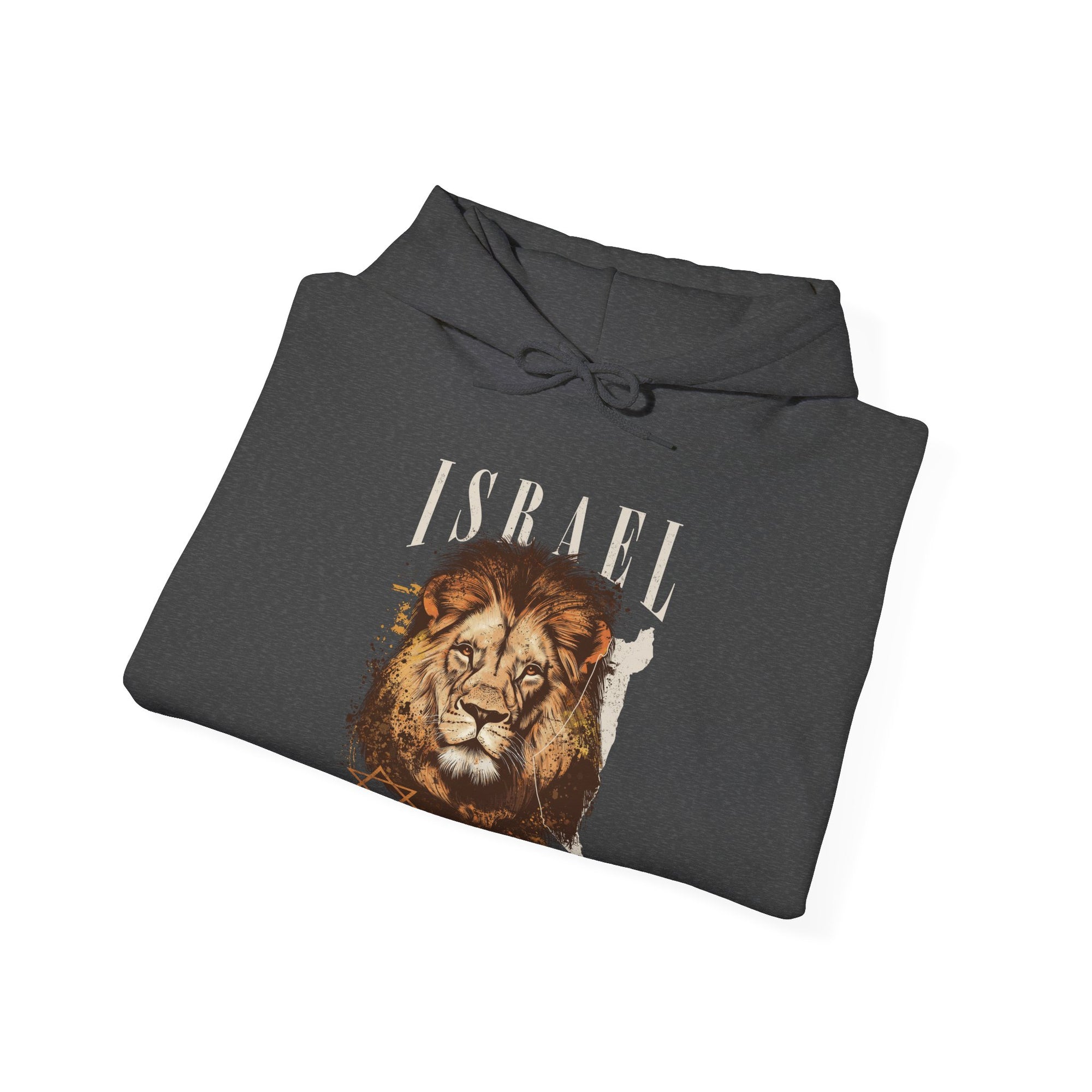 Israel I Stand With You Lion Hoodie