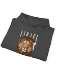 Israel I Stand With You Lion Hoodie