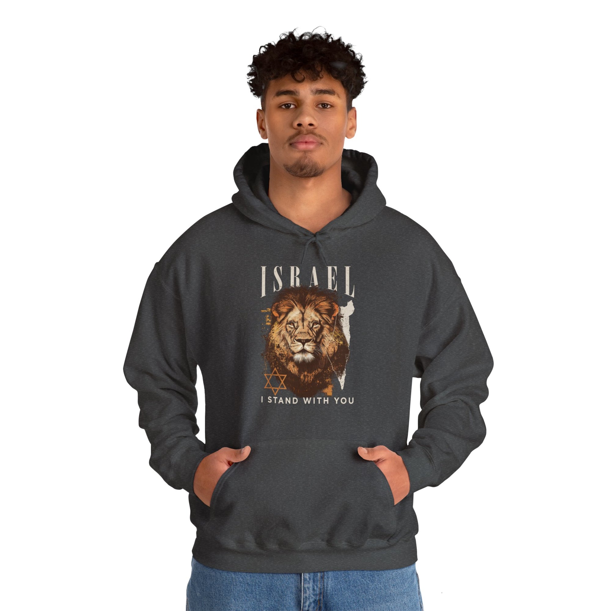 Israel I Stand With You Lion Hoodie