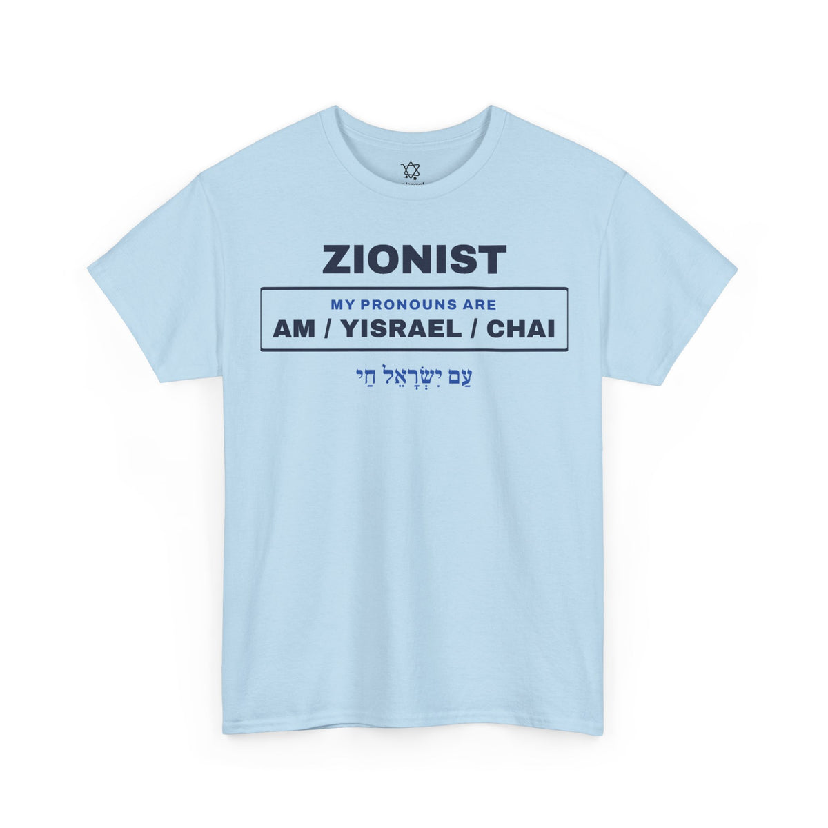 Pronouns Am Yisrael Chai T-Shirt - Shop Israel