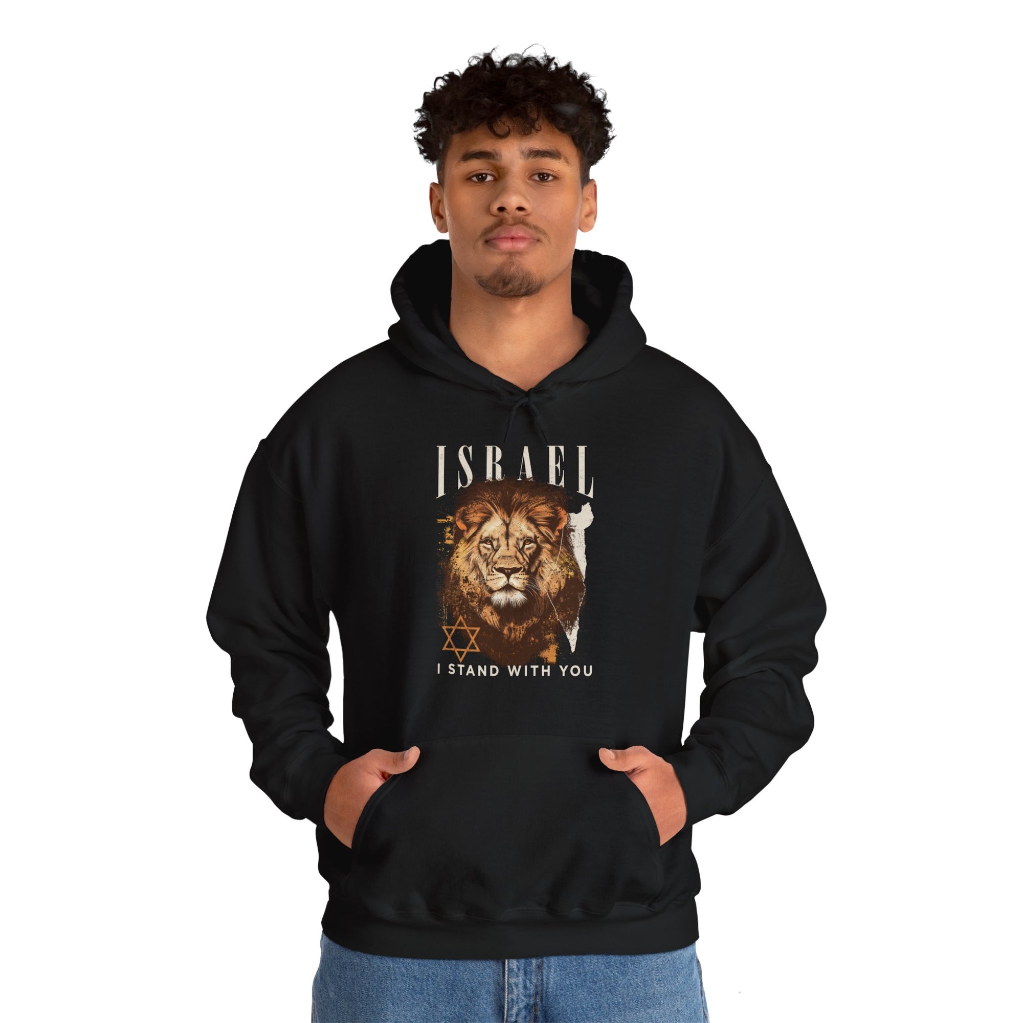 Israel I Stand With You Lion Hoodie