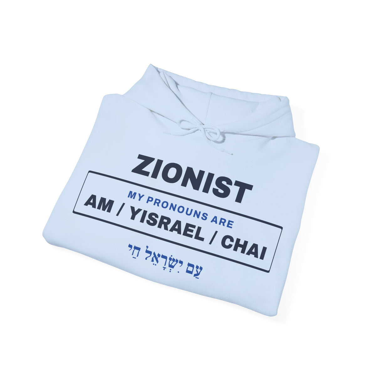 Pronouns Am Yisrael Chai Hoodie - Shop Israel