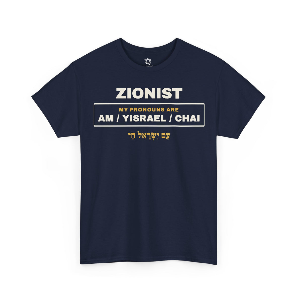 Pronouns Am Yisrael Chai T-Shirt - Shop Israel