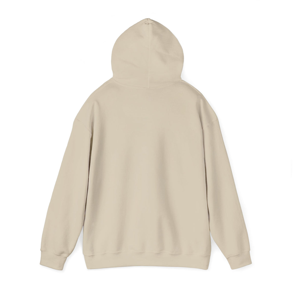 Ask the Romans Hoodie - Shop Israel