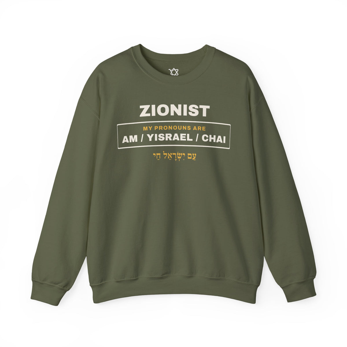 Pronouns Am Yisrael Chai Sweatshirt - Shop Israel