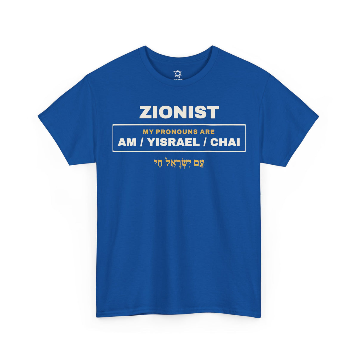 Pronouns Am Yisrael Chai T-Shirt - Shop Israel
