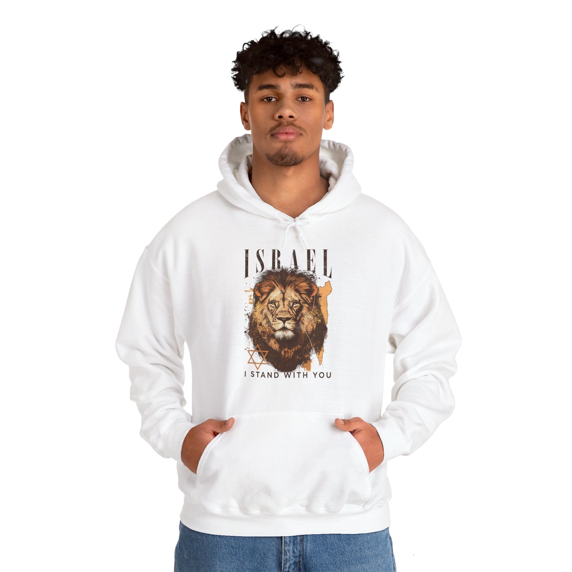 Israel I Stand With You Lion Hoodie