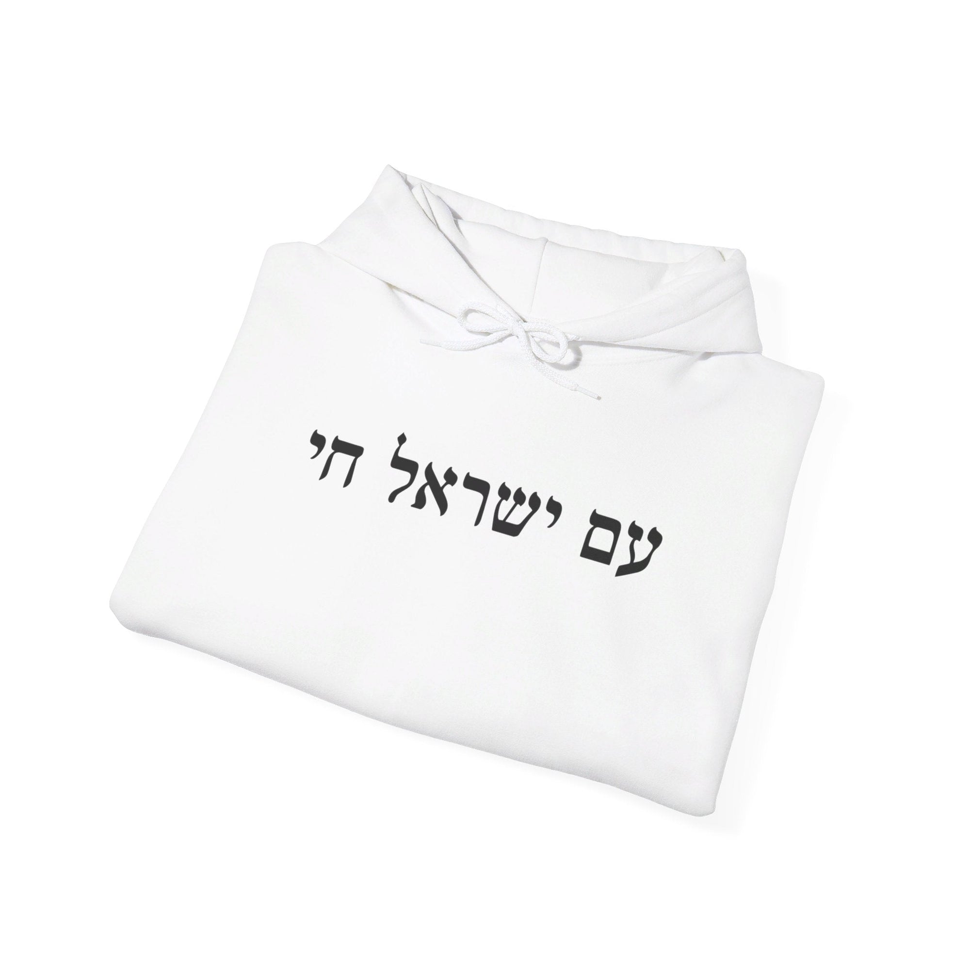 Am Yisrael Chai Hoodie - Shop Israel